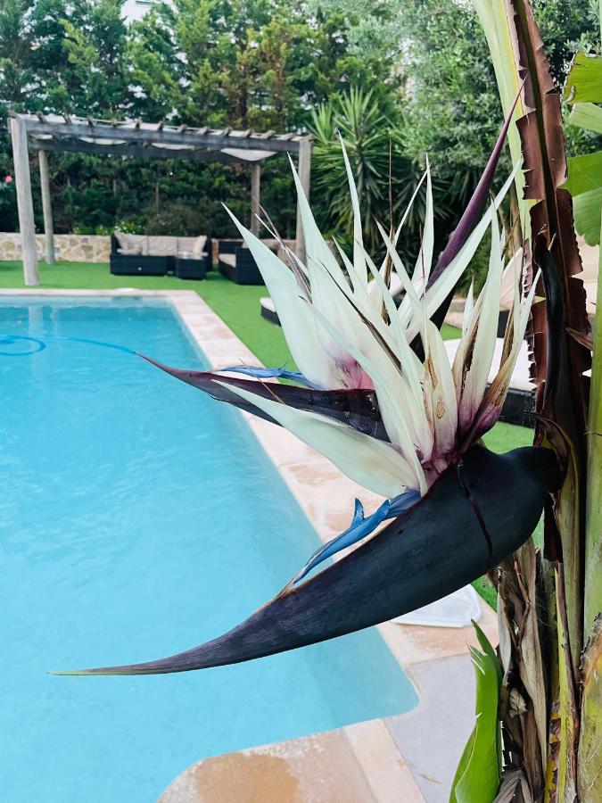 Can Mossenyer San Antonio Abad Exterior foto